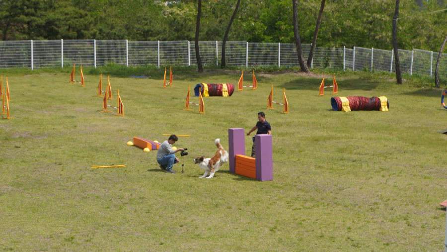aabb23fc06d29884cb83b1ffe1dbbdd2_1683880301_6473.JPG