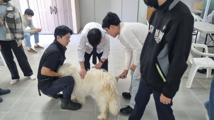 bd526b0c9857ba52782ef01fef55a415_1742876681_5237.jpg