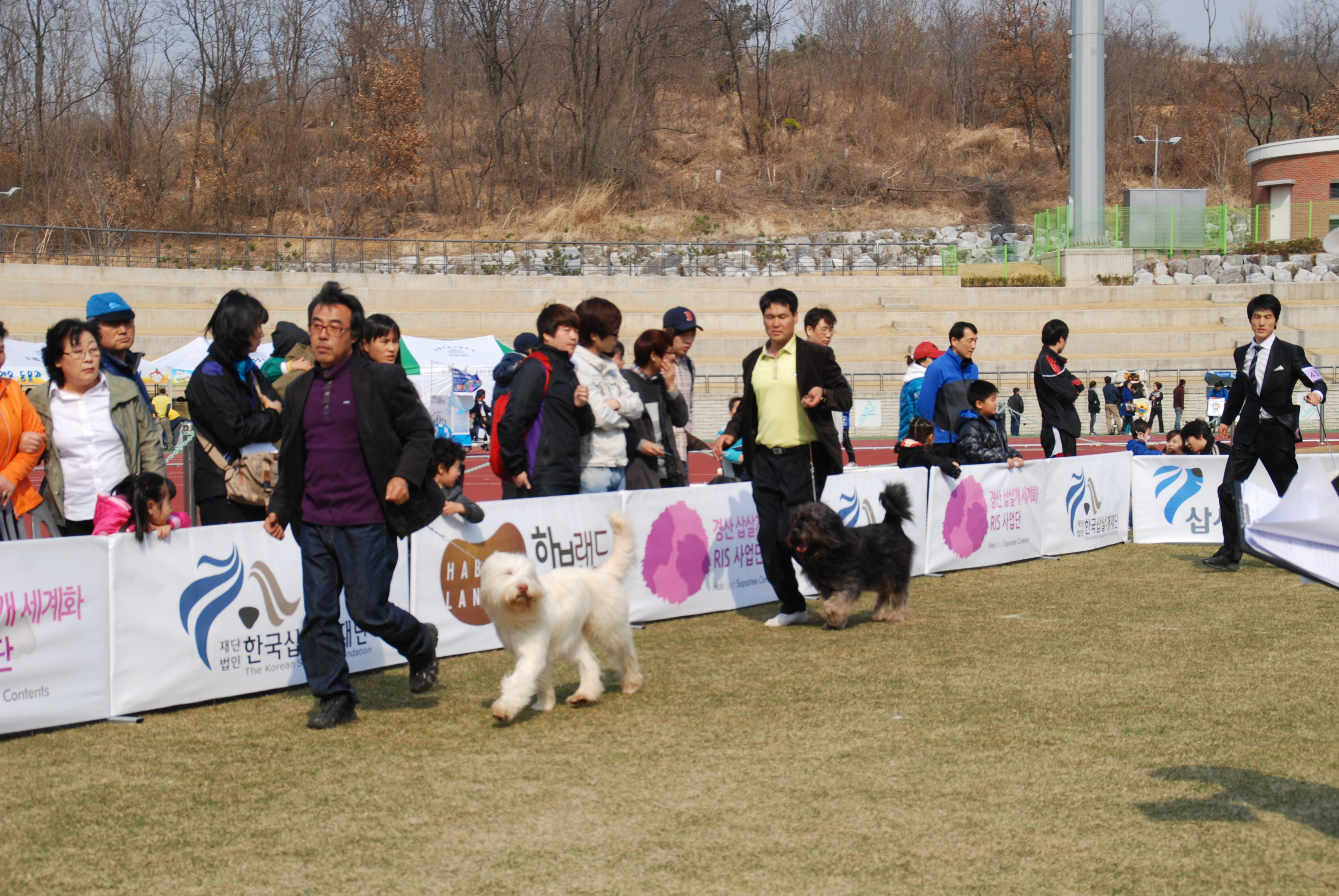1217804900_81dLQs6a_DSC_0063.JPG