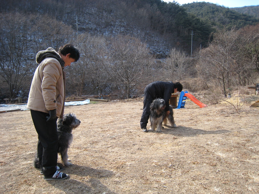 1679372472_BgEKrTPO_54.JPG