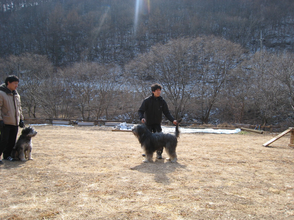 1679372472_EvJt9KgO_55.JPG