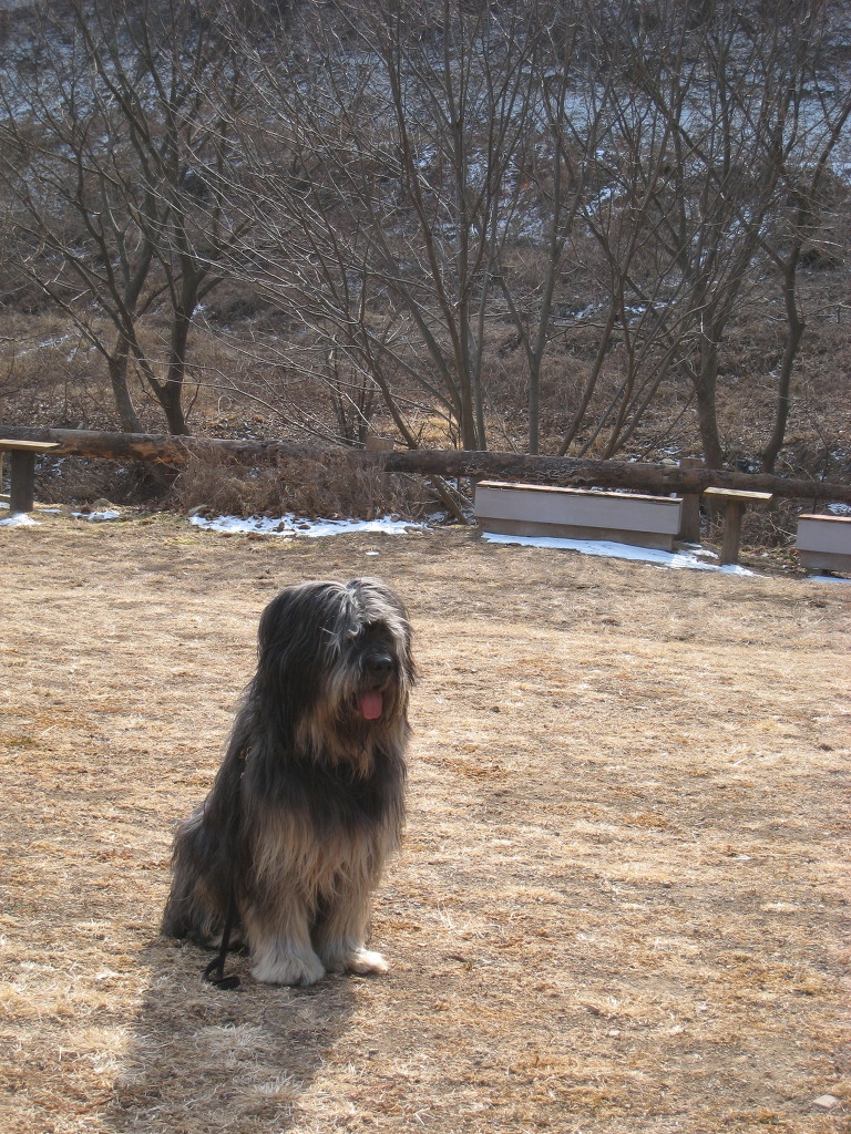 1679372472_H1TYbCmV_48.JPG