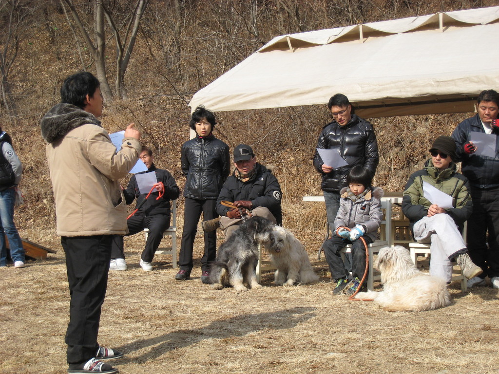 1679372472_cHy8v953_47.JPG