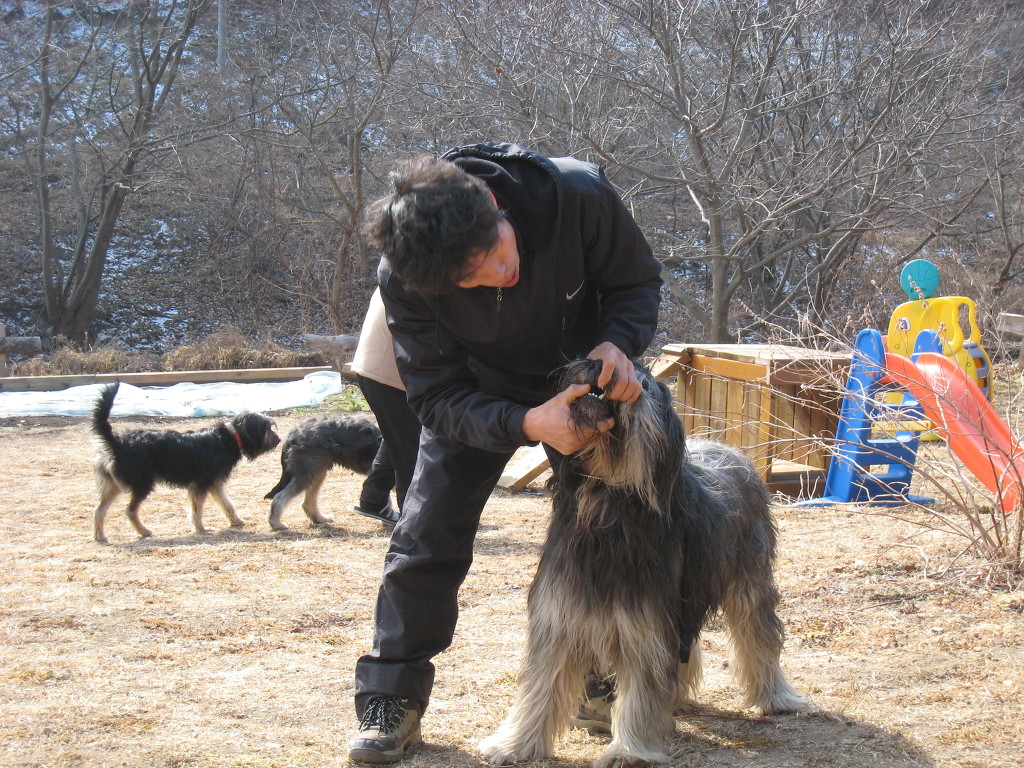 1679372472_kZUD1dfw_53.JPG