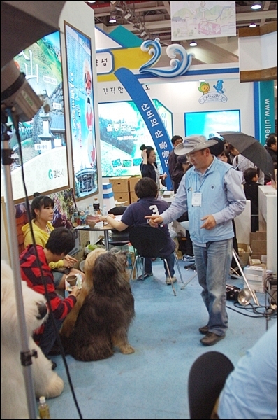1679372497_0zuwYnJ7_re_DSC_8431.JPG