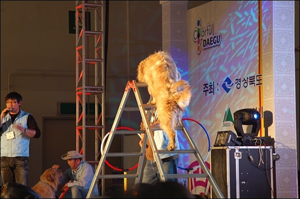 1679372497_F3X6komM_re_DSC_8365.JPG