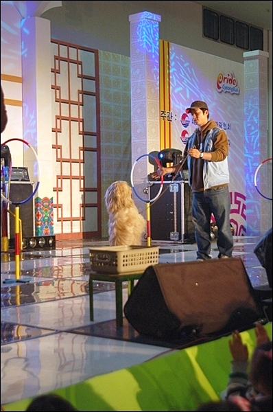 1679372497_JjSBAo9H_re_DSC_8328.JPG