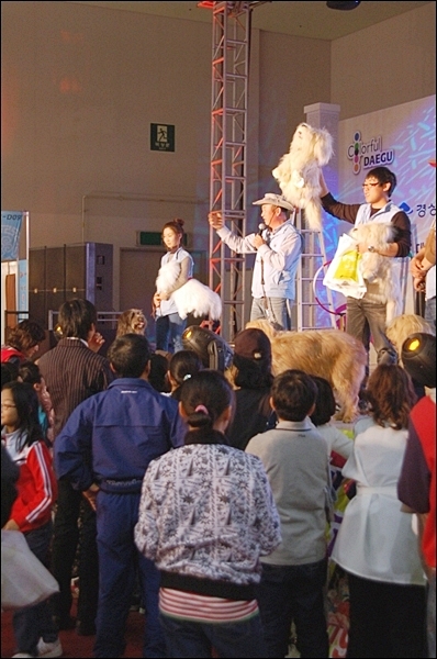 1679372497_cB31prP9_re_DSC_8317.JPG