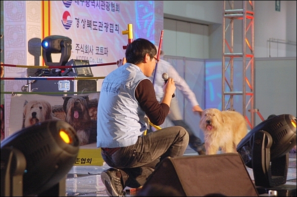 1679372497_ry09Ixzm_re_DSC_8414.JPG