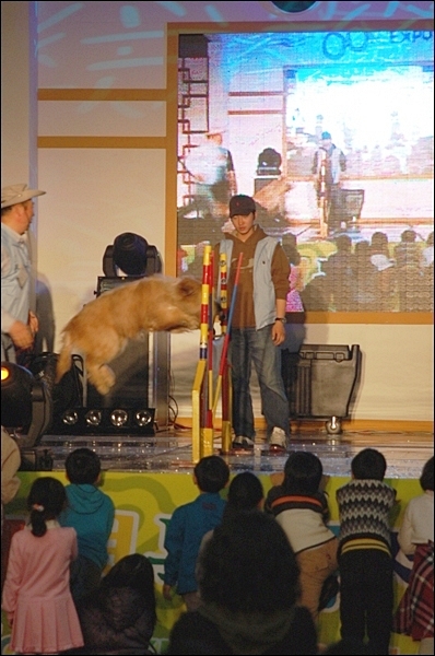 1679372497_tDMLfeCS_re_DSC_8407.JPG