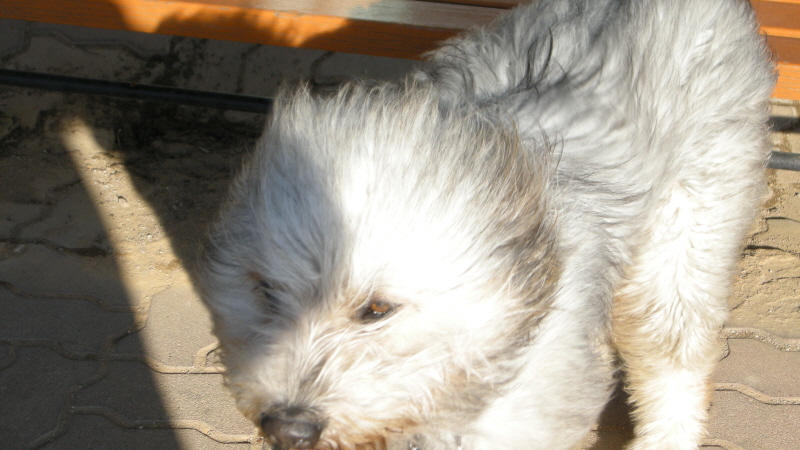 1679372498_9C13cyXt_C5A9B1E2BAAFC8AF_DSCN3464.JPG