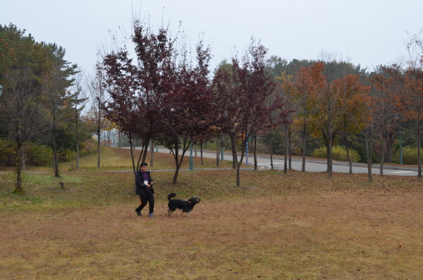 1679372498_BTuvmn7P_C5A9B1E2BAAFC8AF_DSC_0342.JPG