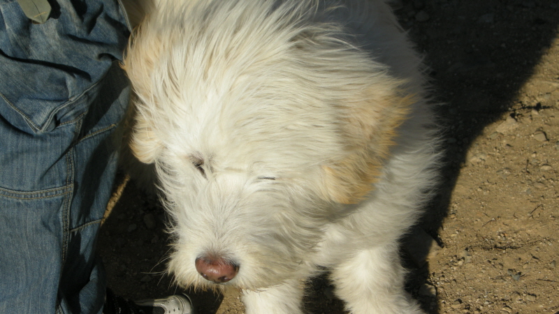 1679372498_GjIP7VDn_C5A9B1E2BAAFC8AF_DSCN3459.JPG