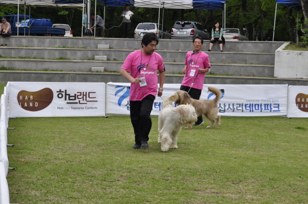 1679372498_GoB4jFtQ_82.JPG