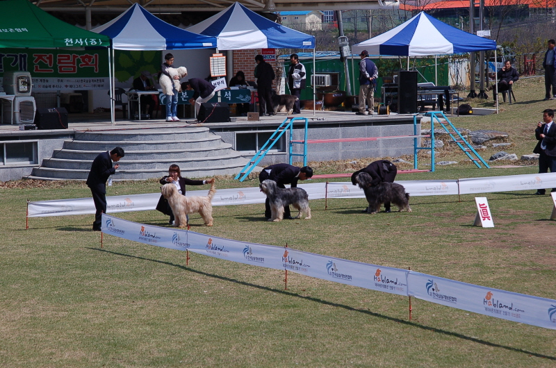 1679372498_SpDgw5Fi_re_DSC_8724.JPG
