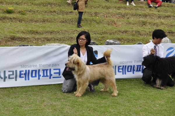 1679372498_T1jDc9zR_52.JPG