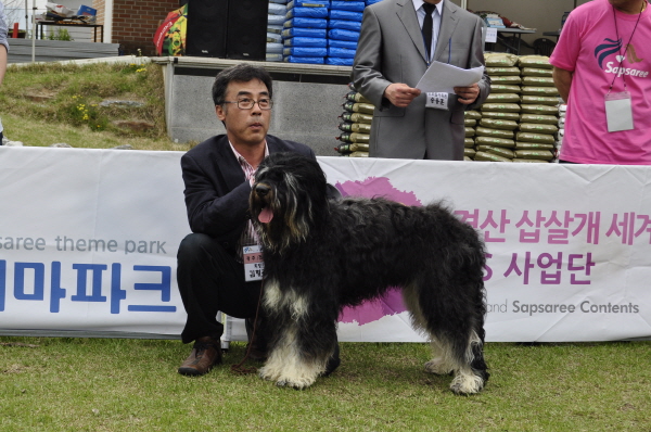 1679372498_UbrKWxSV_66.JPG