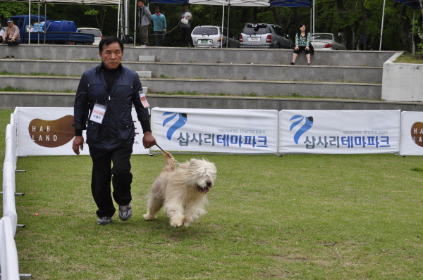 1679372498_YQNjygoi_83.JPG