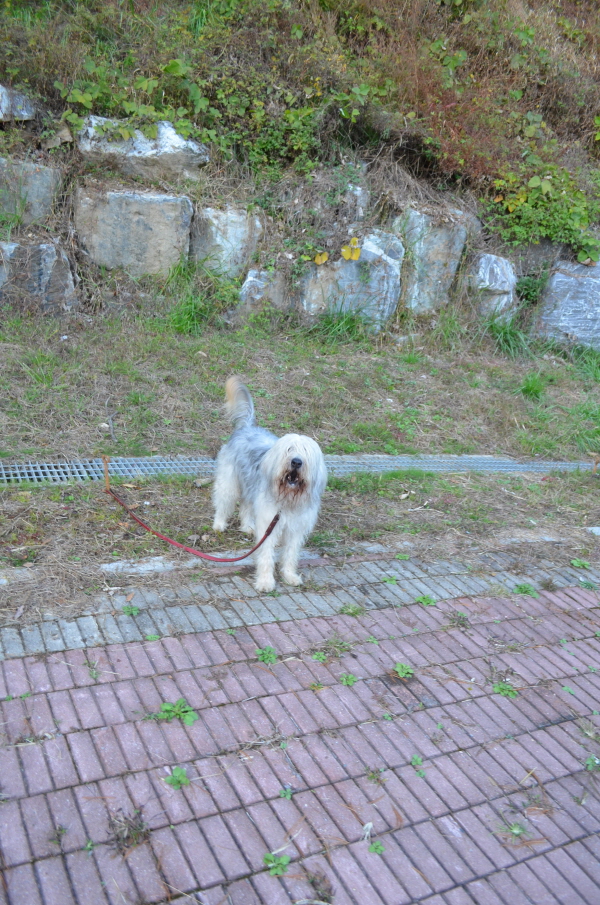 1679372498_bCWHtozf_C5A9B1E2BAAFC8AF_DSC_0199.JPG