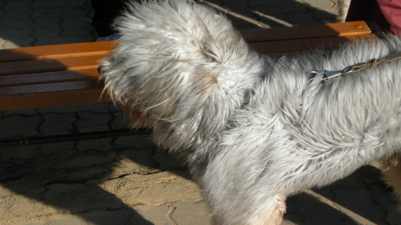 1679372498_eYZNaLUQ_C5A9B1E2BAAFC8AF_DSCN3461.JPG