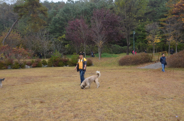 1679372498_vGKNXy8f_C5A9B1E2BAAFC8AF_DSC_0341.JPG