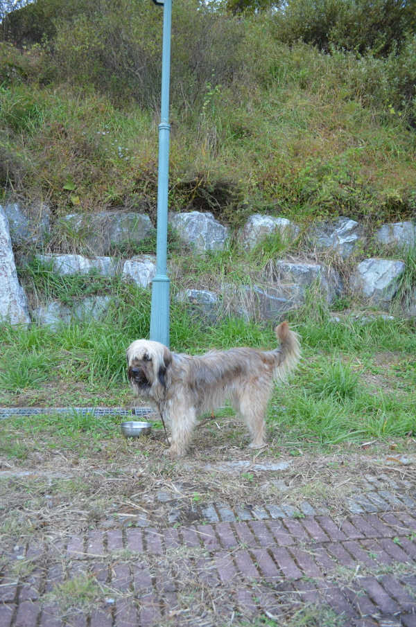 1679372498_wDal6m1J_C5A9B1E2BAAFC8AF_DSC_0202.JPG