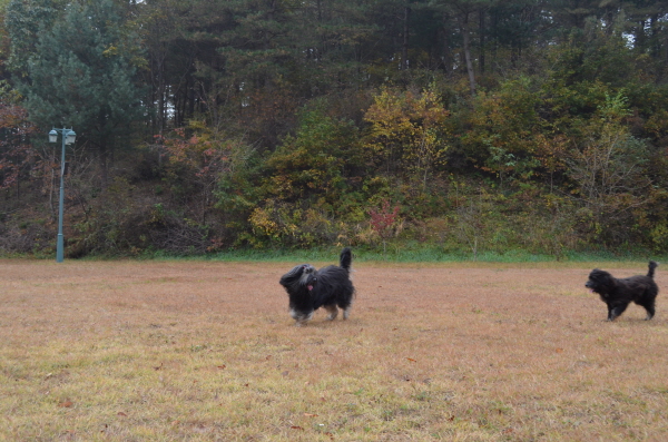 1679372498_xAGhvliB_C5A9B1E2BAAFC8AF_DSC_0391.JPG