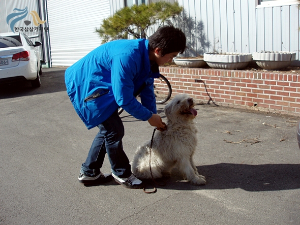 1679372500_1Vjle2OB_P3020057.JPG