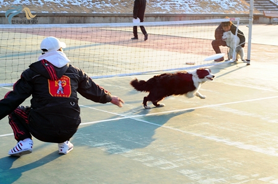 1679372500_3PvhYRmr_ot248.JPG