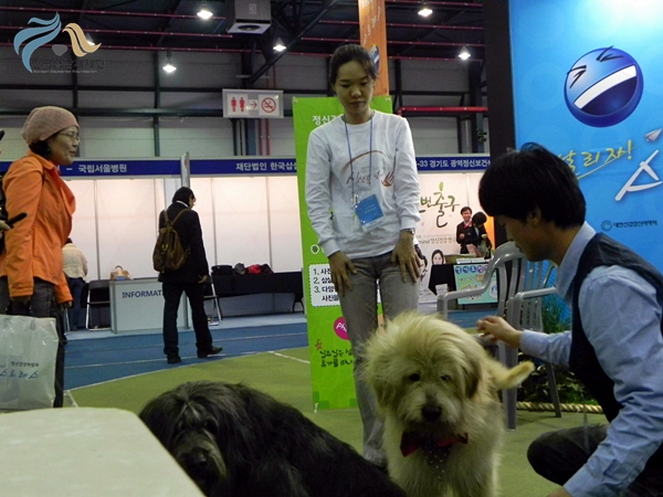 1679372500_3PwUcm7J_DSCN2121.JPG