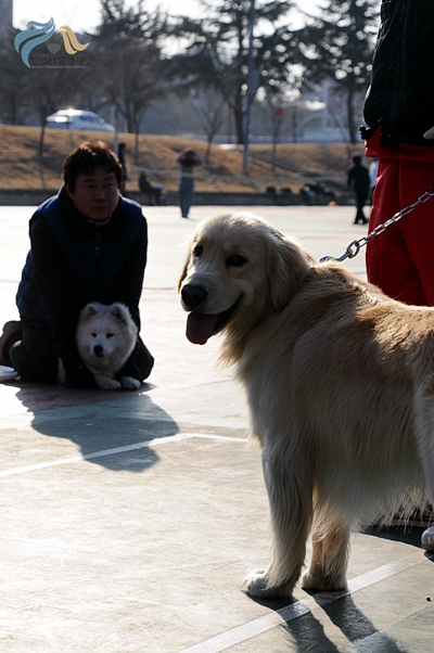1679372500_6L1M3Ou5_DSC_0392.JPG