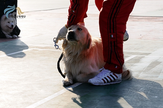 1679372500_9AZ1YxXv_DSC_0397.JPG