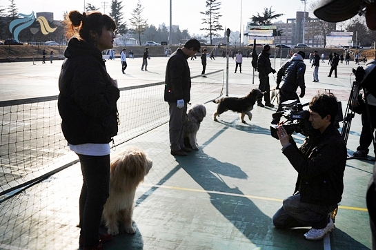 1679372500_9KWXTitp_DSC_0424.JPG