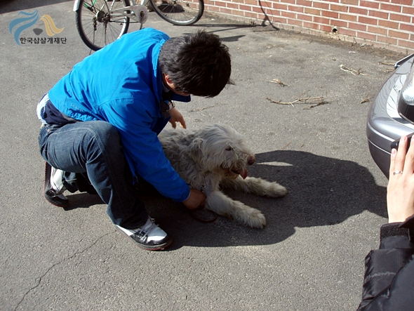 1679372500_A81ajzQ0_P3020060.JPG