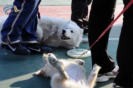 1679372500_Bcybn7FZ_DSC_0401.JPG
