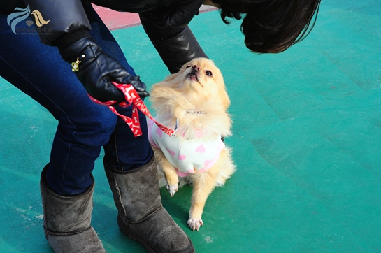 1679372500_F7kiHOxA_academy_3065.JPG
