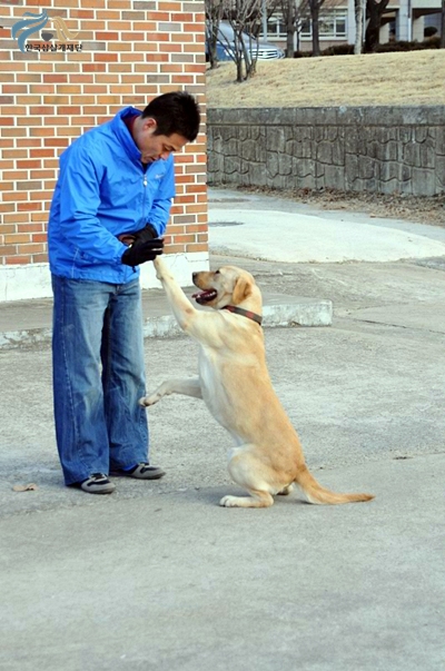 1679372500_G3YEZSI4_C5A9B1E2BAAFC8AF_DSC_0299.JPG