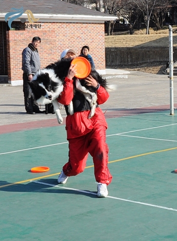 1679372500_GthHCiEO_19.JPG