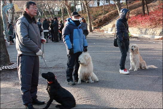 1679372500_HyOaMGSL_2thIMG_2321-087.JPG