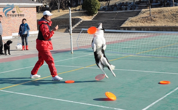 1679372500_LRTxj20v_15.JPG