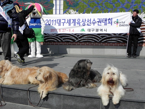 1679372500_LSqR6Ckd_DSCN0774.JPG