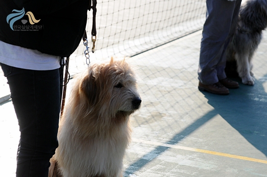 1679372500_LSwUvEc5_DSC_0423.JPG
