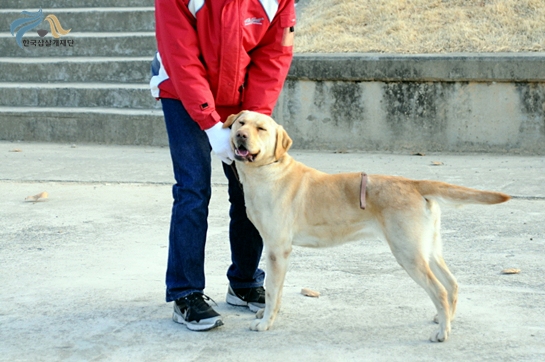 1679372500_MNvCA4Uj_C5A9B1E2BAAFC8AF_DSC_0276.JPG