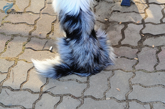 1679372500_MhUle4X5_academy_3137.JPG