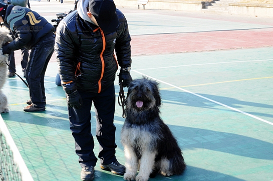 1679372500_NTwonxt9_DSC_0417.JPG
