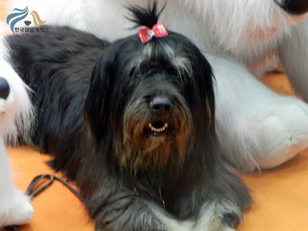 1679372500_OAIz3C0U_DSCN2279.JPG