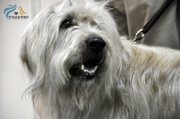 1679372500_QILlToce__DSC0860.JPG