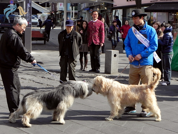1679372500_RLj1eWhK_DSCN0812.JPG
