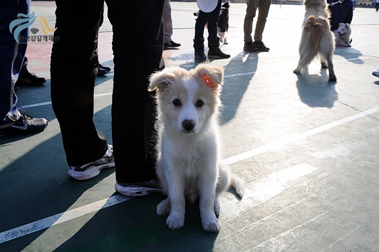 1679372500_UMgBSa3K_DSC_0377.JPG