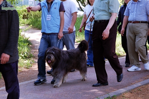 1679372500_UukKCIfR_re_DSC_0345.JPG